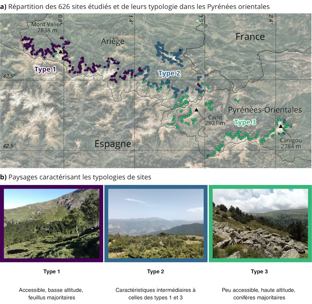 Dans les Pyrénées, la forêt ne s’étend pas aussi haut que le climat le ...