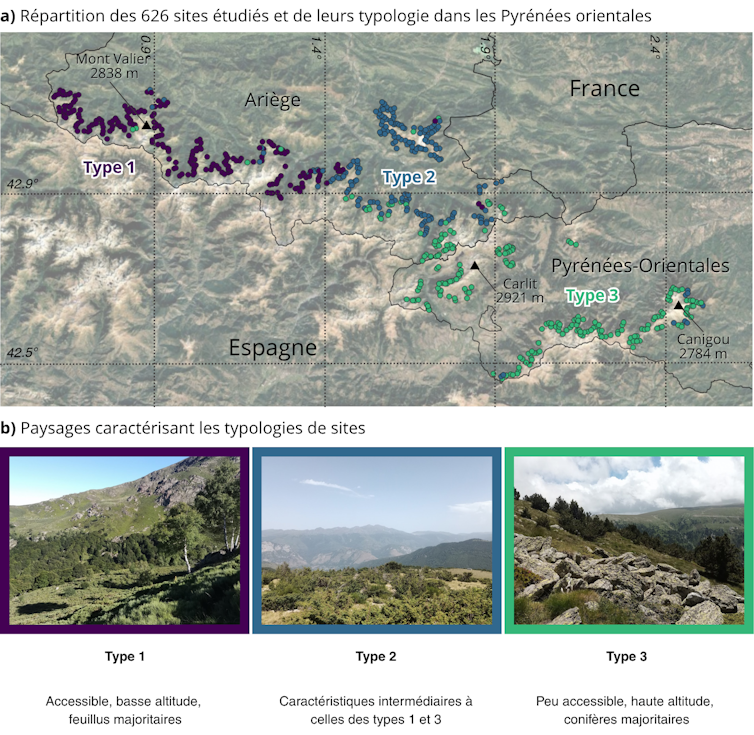 In pyrines of the wooded area isn't prolonged because the local weather lets in 1 file 20250718 56 xdba53.png?ixlib=rb 4.1