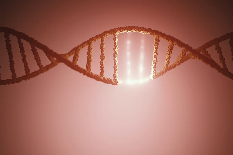 Ilustração de uma hélice do DNA vermelha com um segmento iluminado em branco