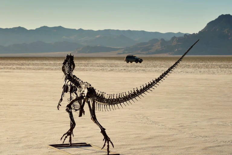 Sotheby's publicity photograph for the Creatosaurus skeleton.