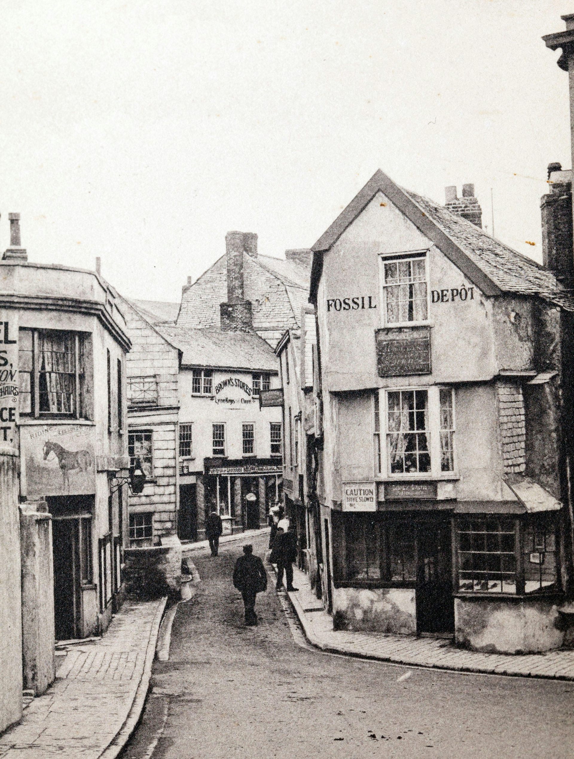 Annings Fossil Depot, Lyme Regis, c.1895.