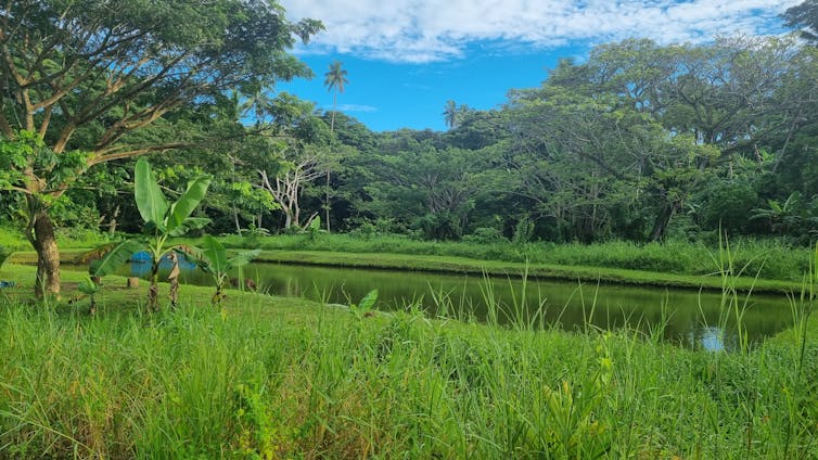 fish ponds, aquaculture.