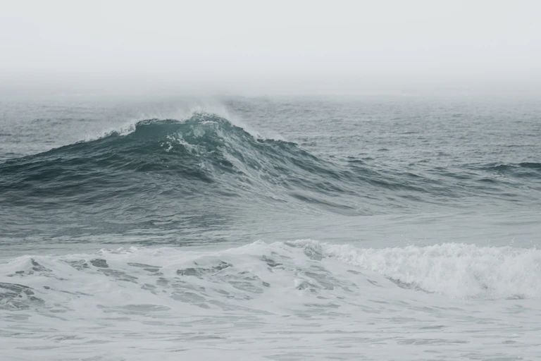 A tall wave breaking.