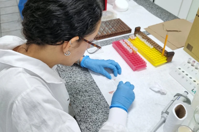 Foto mostra moça de cabelos presos, jaleco branco e luvas azuis, mexendo em tubos numa bancada de laboratório