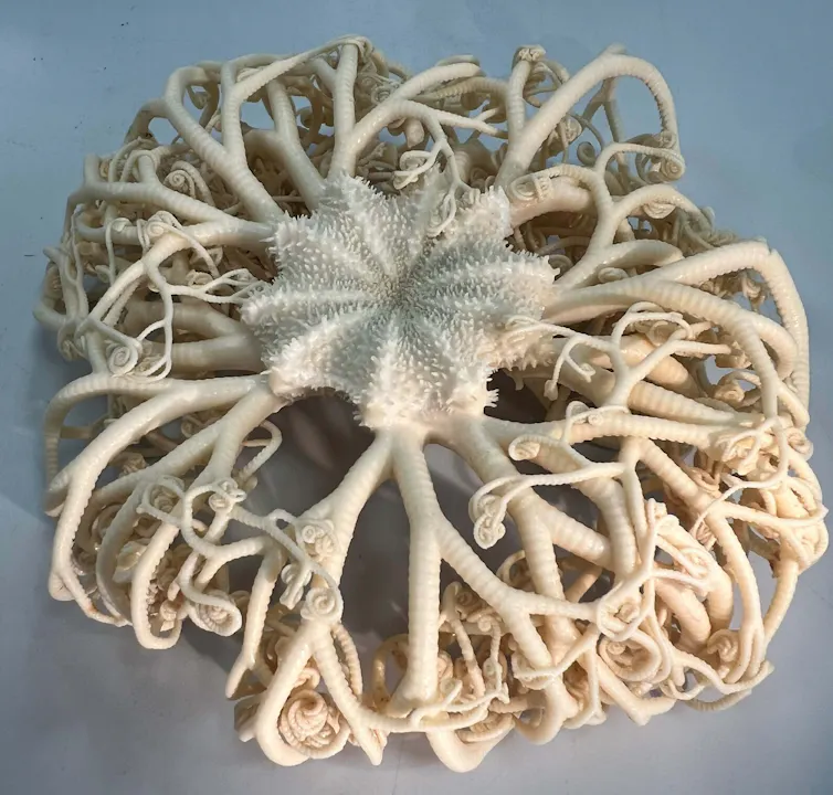 Photo of a bleached white tentacular creature.