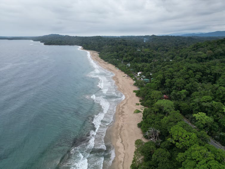 Una vista de la parte aérea de la larga parte de la playa con olas se ha estrellado en tierra