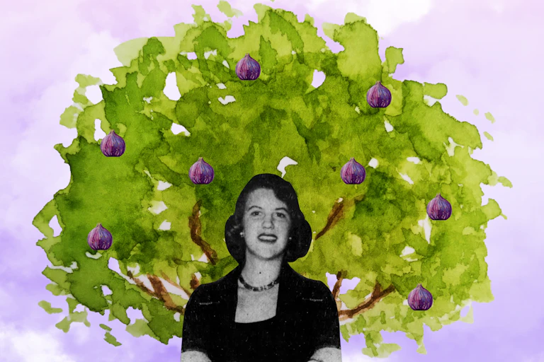 Sylvia Plath and a tree with figs.