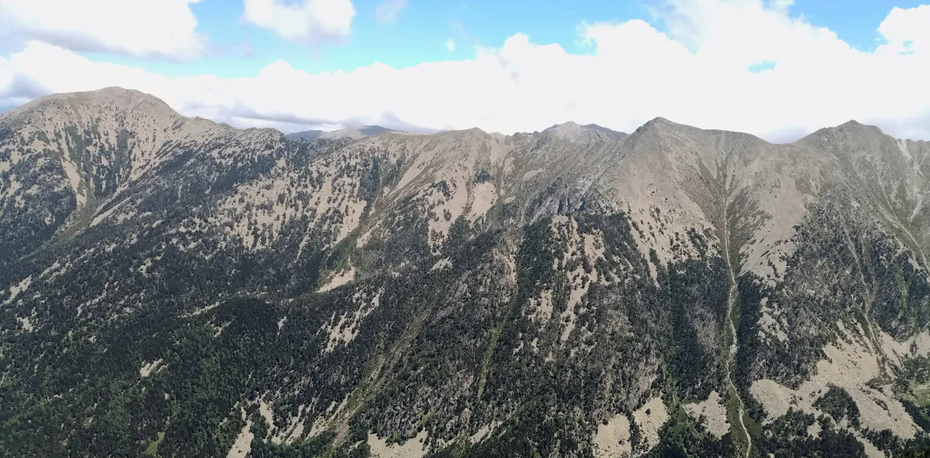 Dans les Pyrénées, la forêt ne s’étend pas aussi haut que le climat le ...