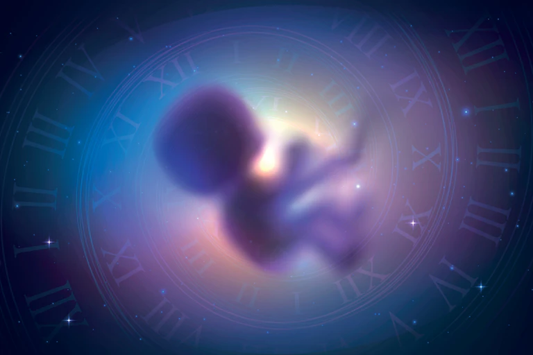 Outline of a foetus, surrounded by stars and a clock face