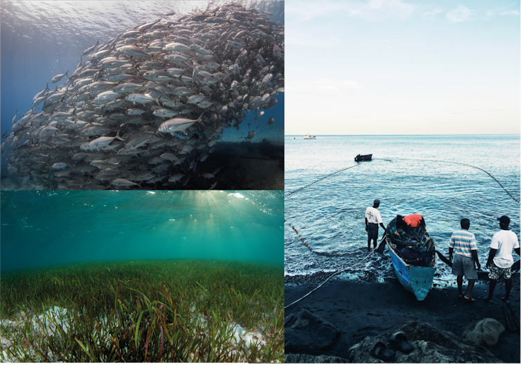 Trois photos : en haut à gauche, un banc de poissons ; en bas à gauche, un herbier marin ; à droite, trois hommes sur une plage tire une barque à l’eau