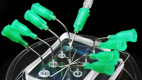 Microfluídica: një laborator që përshtatet në pëllëmbë dhe e ardhmja e pre-salit