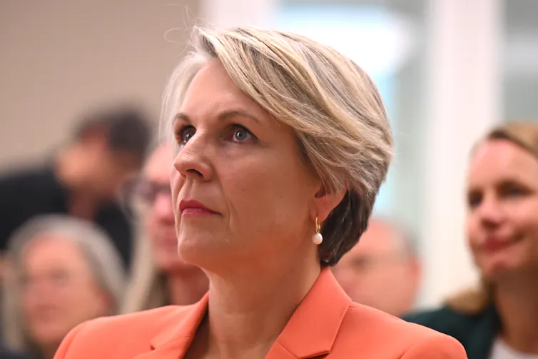 A seated Tanya Plibersek wearing an orange suit jacket.