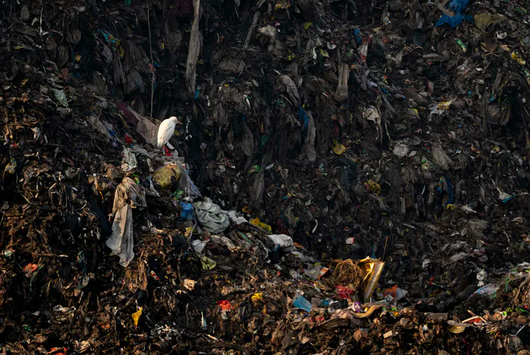 A large pile of garbage with a bird sitting on top of it.