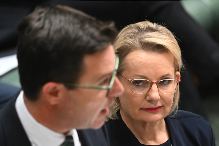 Sussan Ley looks up and closely watches David Littleproud as he speaks in parliament