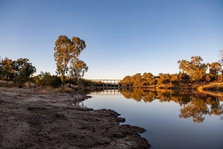 A bare riverbank next to the still Balonne River near Saint George in Queensland, within the Murray-Darling Basin.