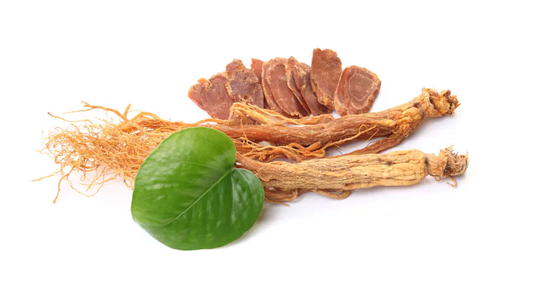 Red ginseng plant