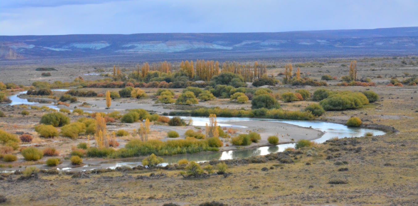 After 160 years of Welsh settlement in Patagonia, the voices of the natives were finally heard After 160 years of Welsh settlement in Patagonia, the voices of the natives were finally heard