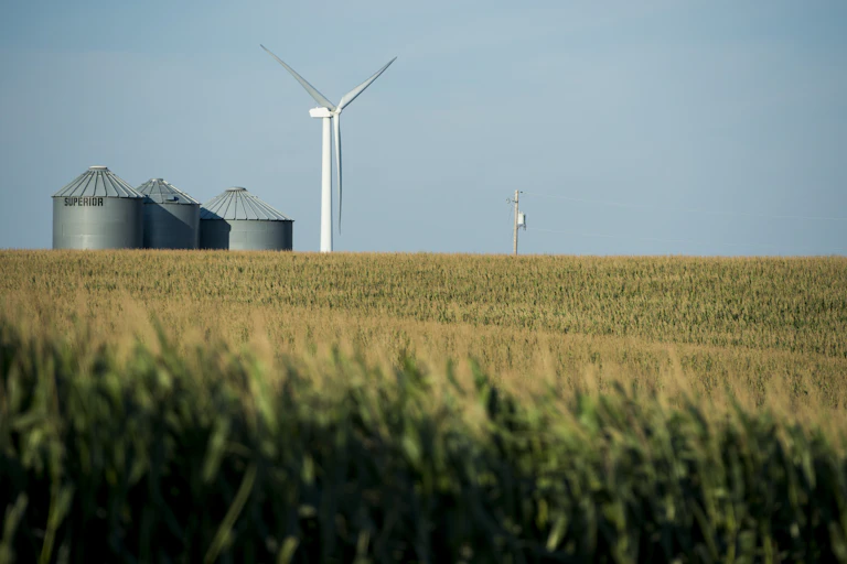 A wind turbine stands next to silos in a large corn field.