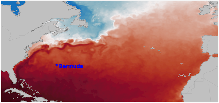 A Bermuda stalagmite unearths how the Gulf Movement shifted – and what it could do because the local weather adjustments additional 1 file 20250724 66 k1x24v.png?ixlib=rb 4.1