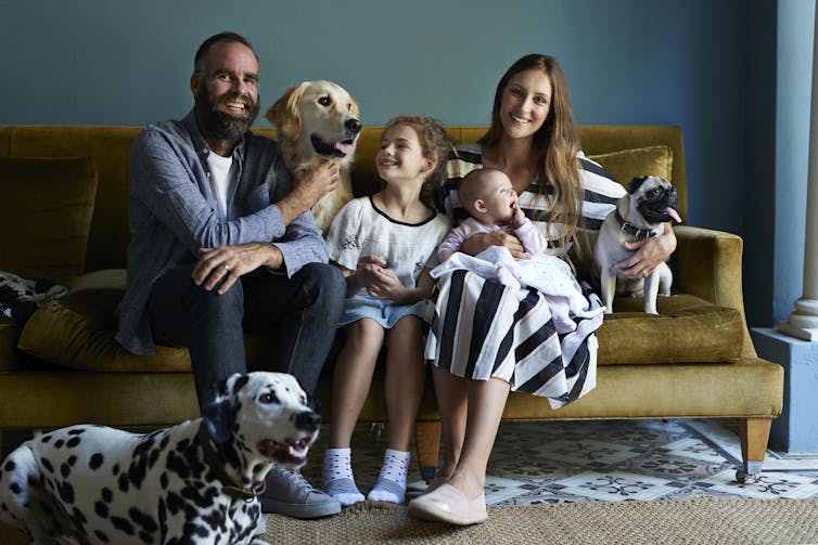 Family of four sitting together on a sofa with three dogs surrounding them.