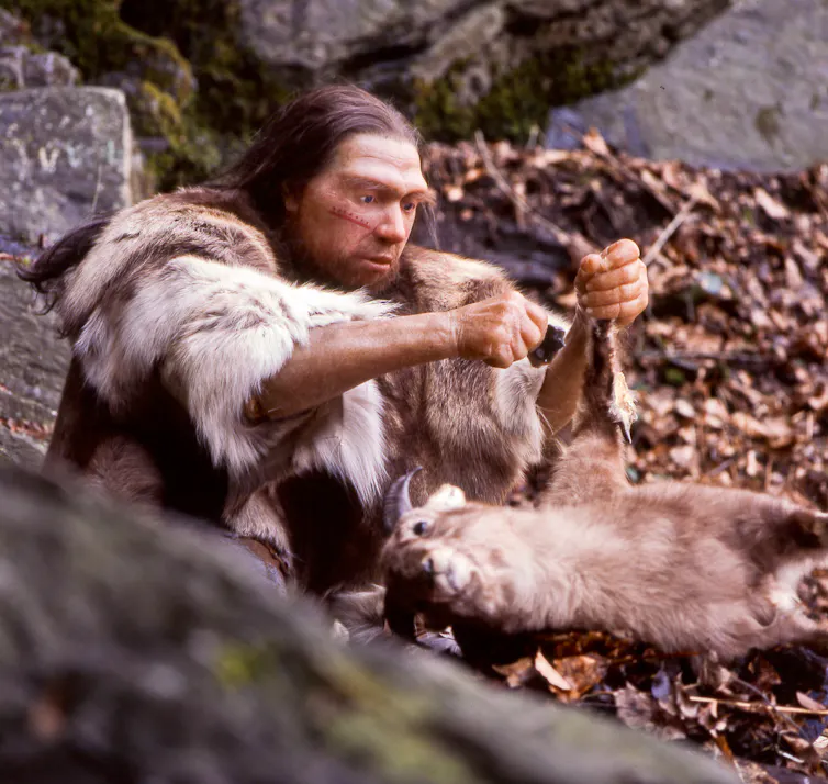 A Neanderthal wearing animal fur butchering a goat with a stone tool