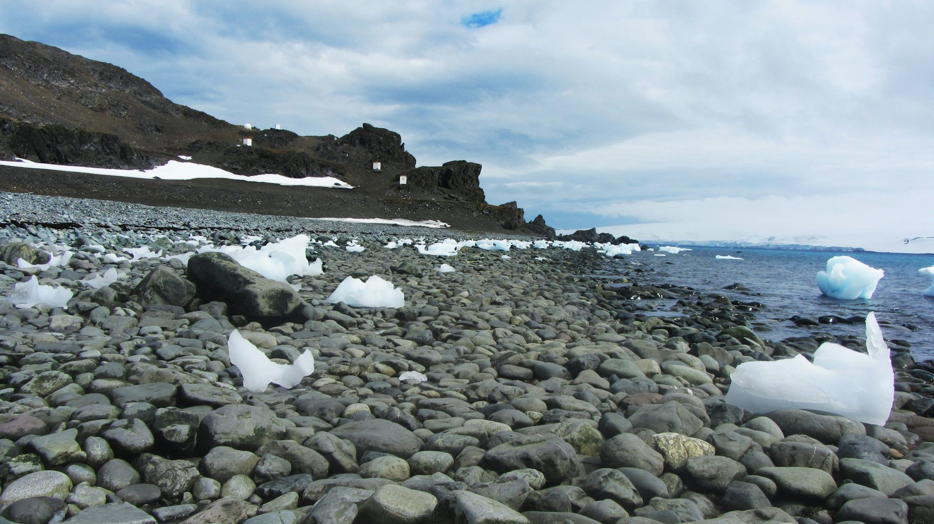 file 20250726 56 ncid83.jpg?ixlib=rb 4.1