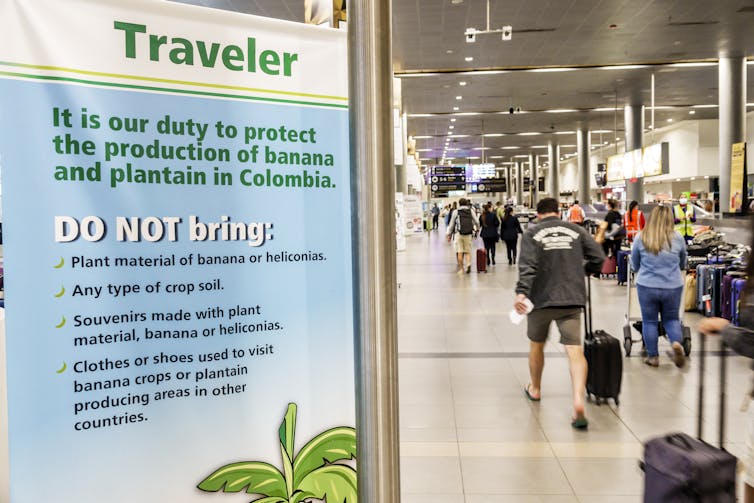 Travelers in an airport with a sign in the foreground warning against bringing in bananas, soil or plants to avoid harming crops.