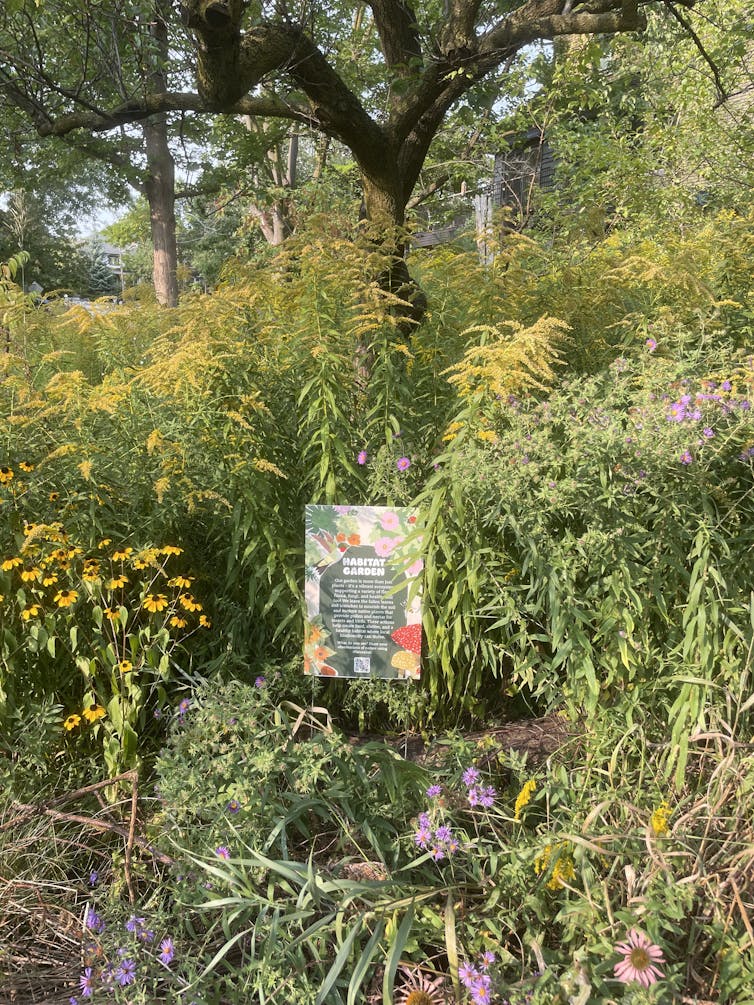 lule dhe bimë të gjelbra rreth një shenje që lexon habitat garden