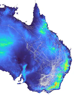 map of Australia showing flyway in Murray Darling basin.