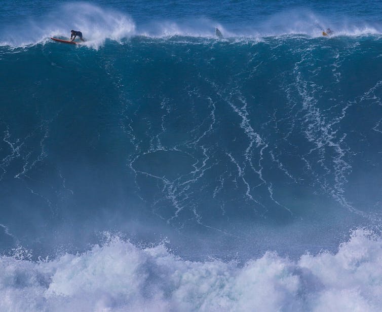 Tsunamis: What number of wave heights can succeed in like the ones growing an earthquake in Russia 1 Surfers on a giant wave