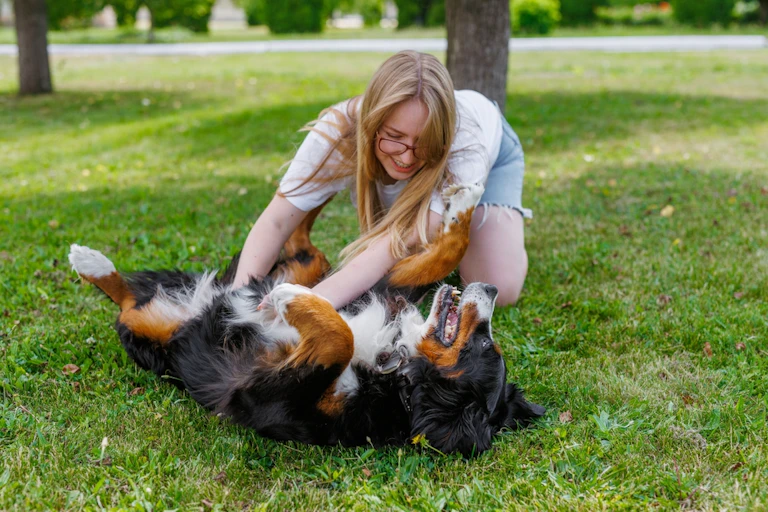 Une jeune femme sur une pelouse caresse son chien qui est sur le dos et joue avec lui.