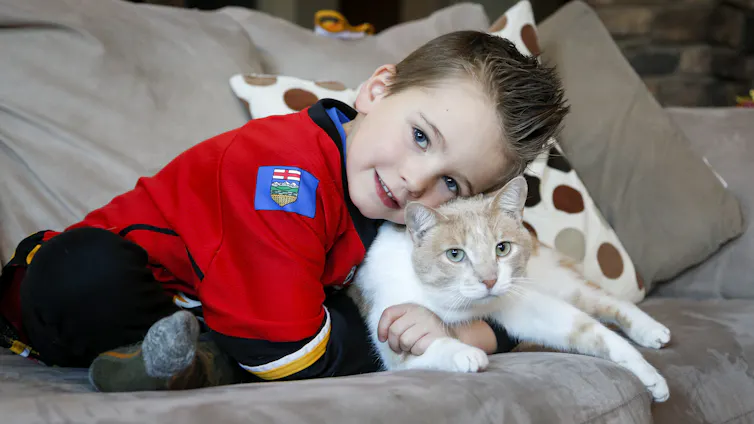 A boy in a red shirt cuddles a white and sandy-coloured cat.
