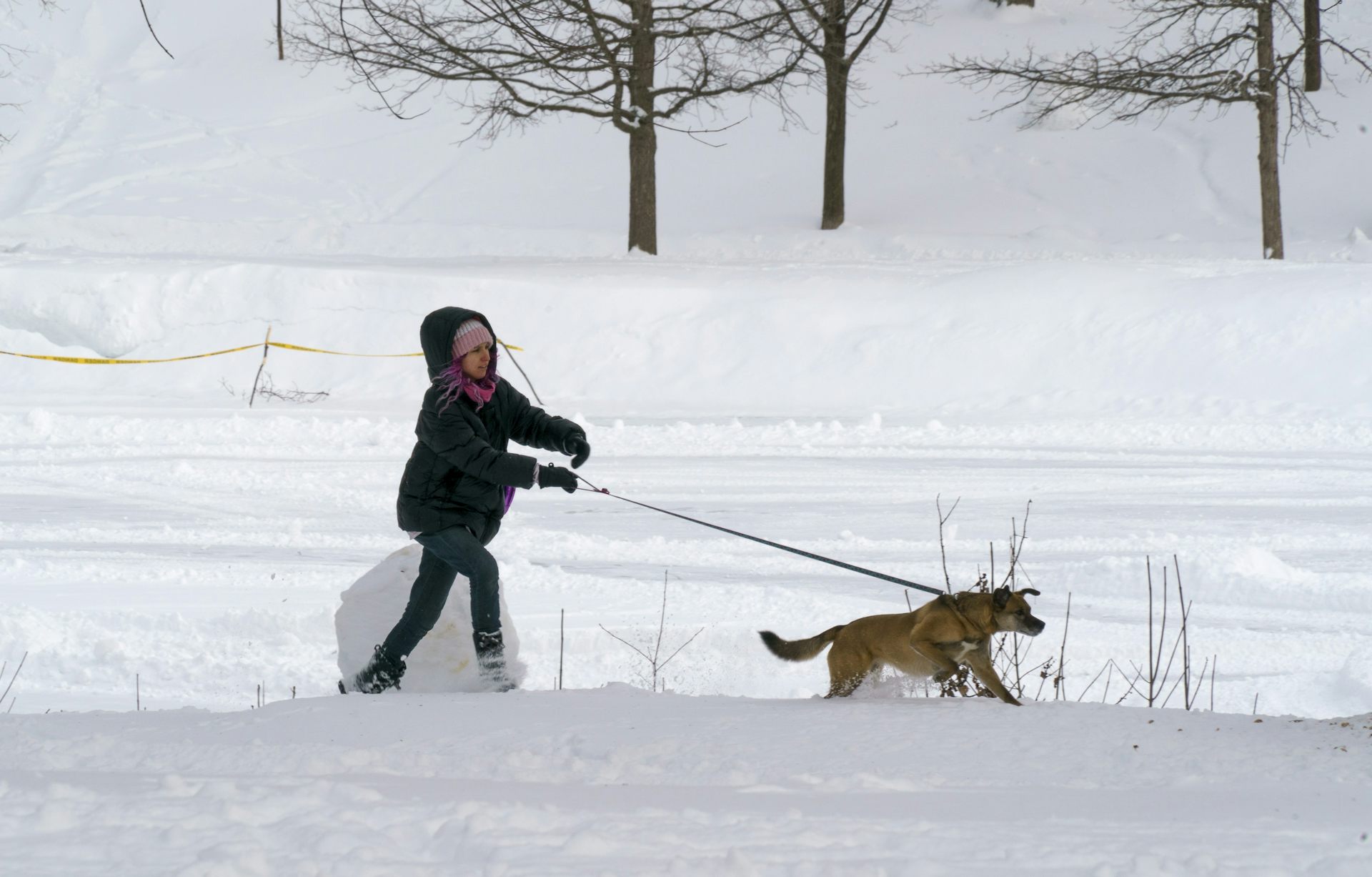 A woman is pulled by a dog on a leash in the snow.