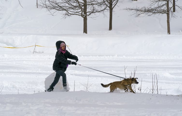 La mujer tiró de un perro con una correa en la nieve.