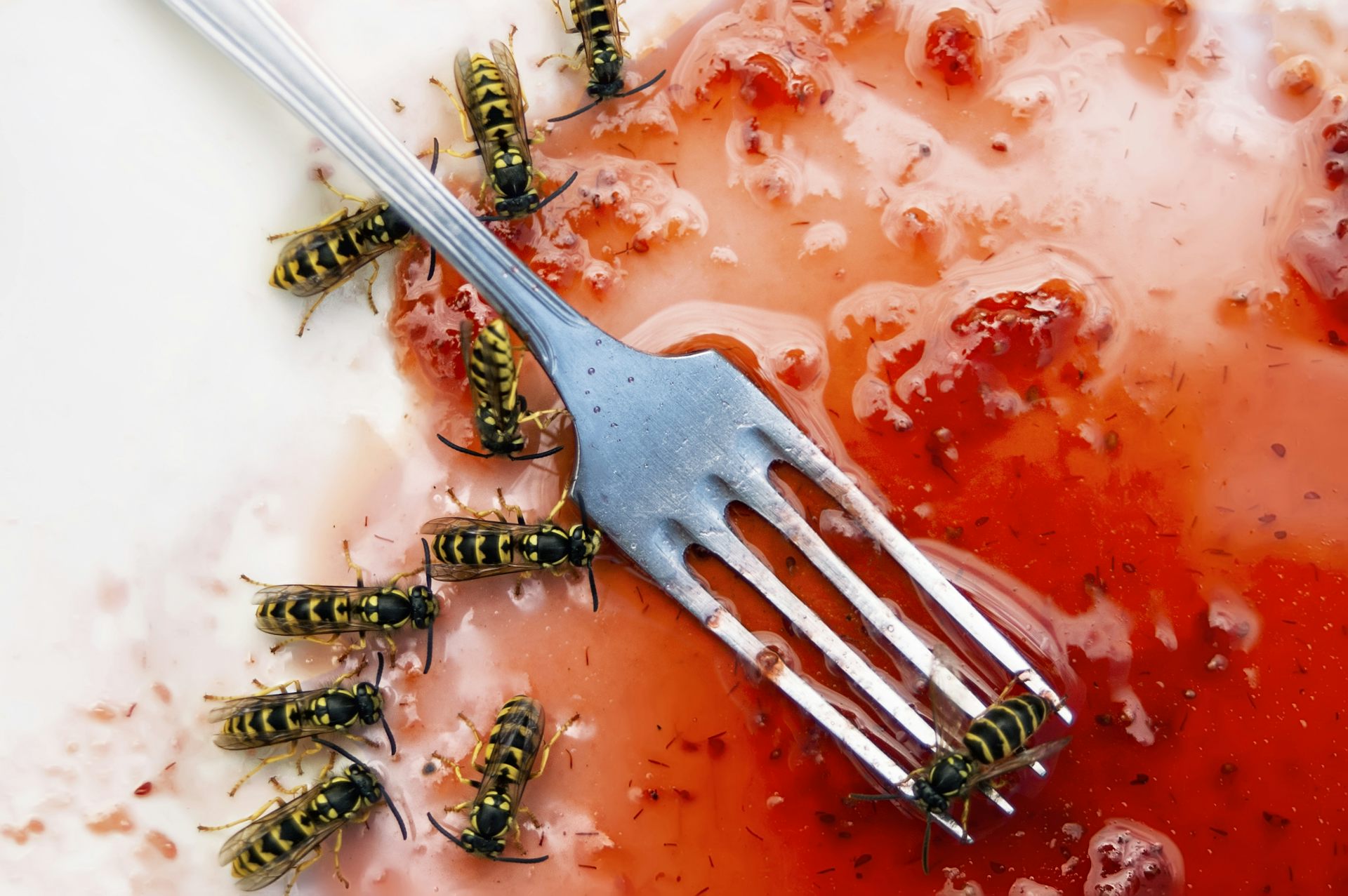 Des guêpes dans une flaque de confiture et une fourchette