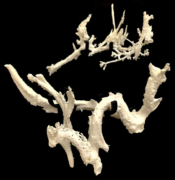 Modelos impressos em 3D das estruturas de vasos encontradas no osso da costela de Scotty. (J. Mitchell), CC BY