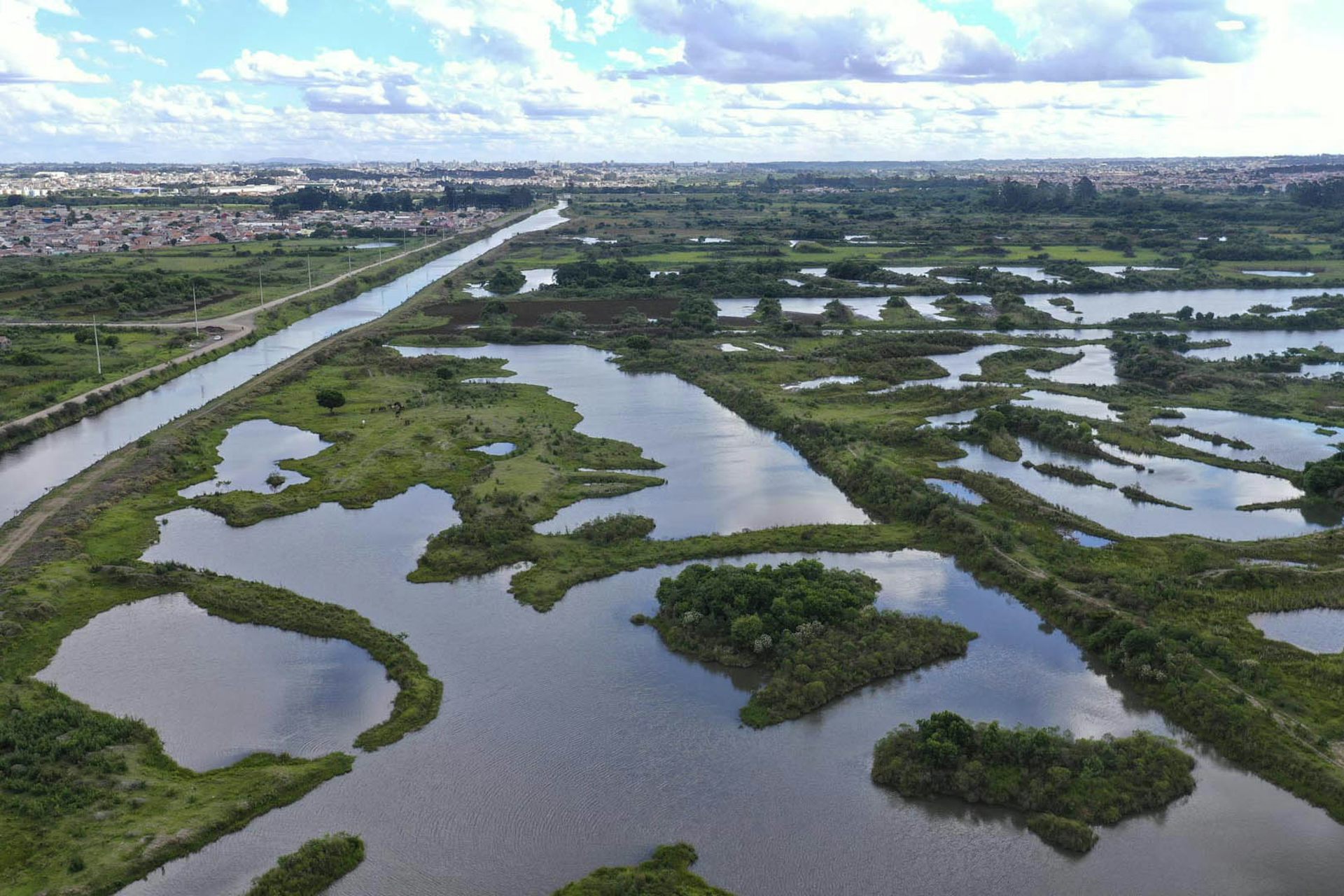 Ciência revela os diferentes papéis dos peixes do rio Paraná na ...