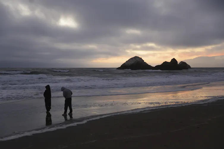 people walking on beach
