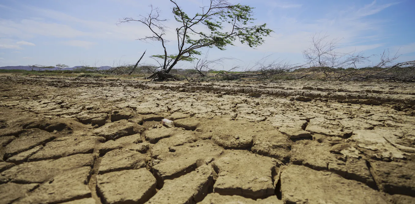 Droughrs Droughts don’t just dry up water — they drain livelihoods and weaken ...
