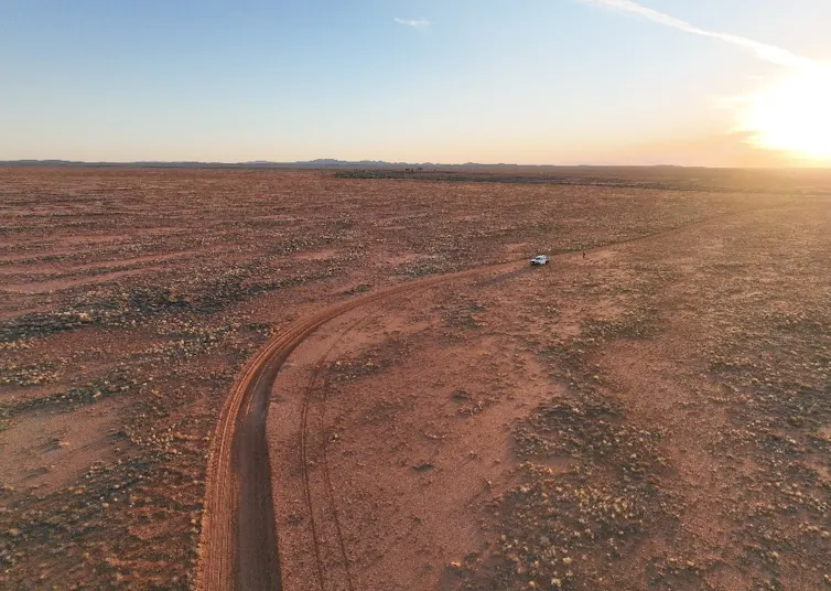 Aerial image of plains-wanderer habitat in the South Australian semi-arid rangeland