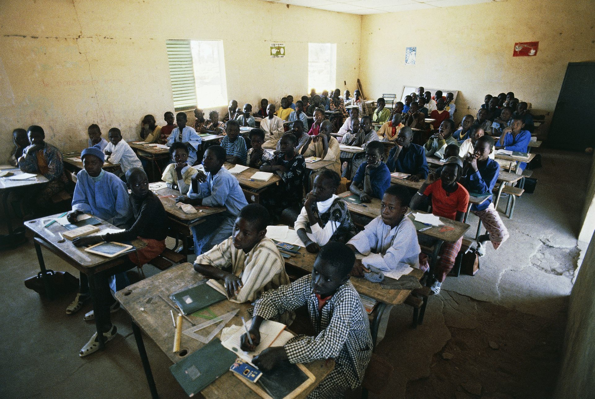 Leak bunny ce petit air malicieux qui vous dit : je vais