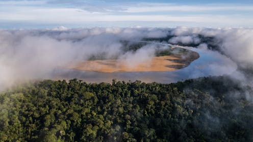 Zona e Reçentë e Mbrojtur në Amazonën Peruviane dhe Popullsitë që varen prej saj përballen me një kërcënim ekzistencial