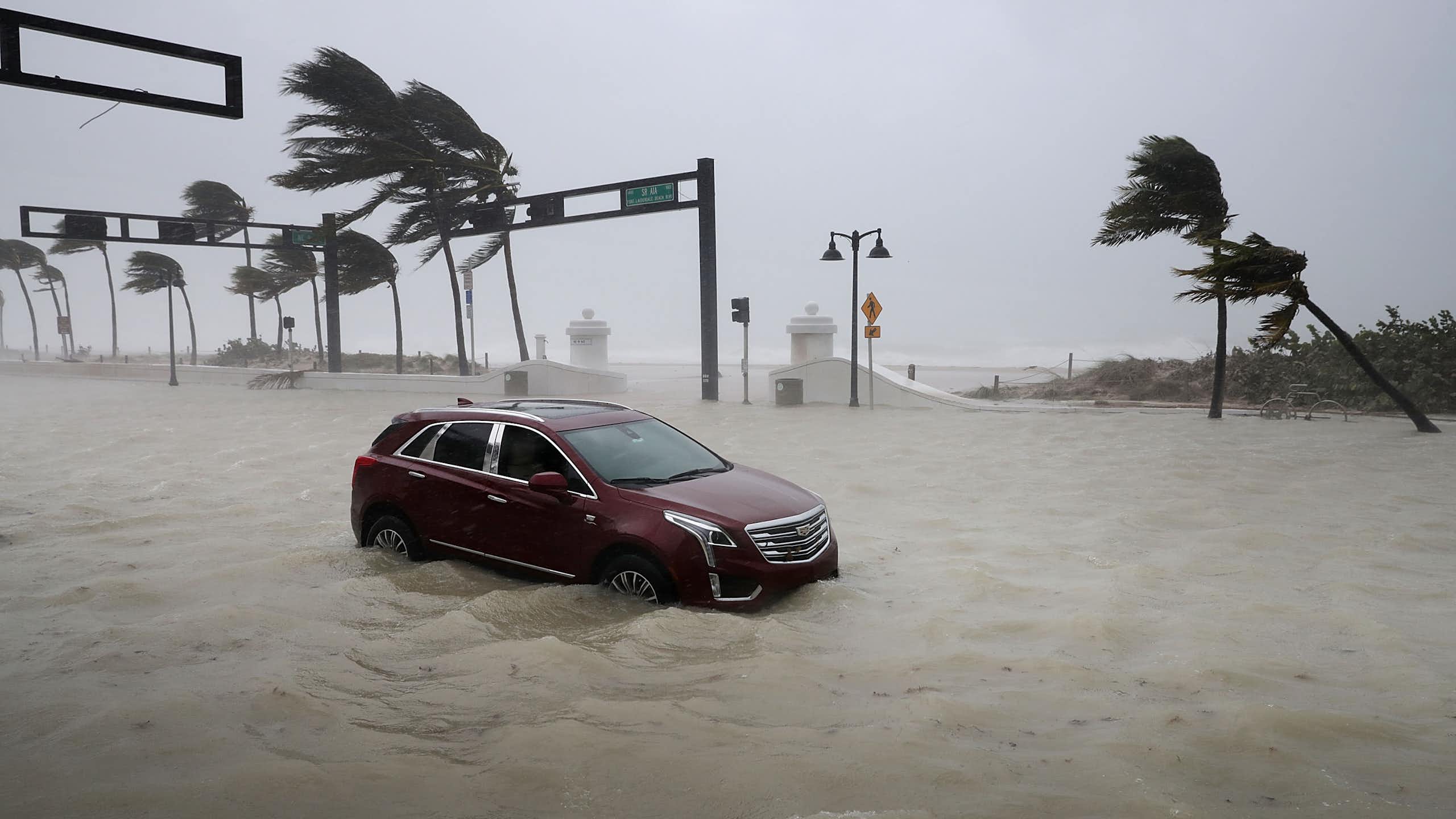 An SUV is stuck in rising flood water as the ocean pours in. Palm trees blow in the hurricane winds.