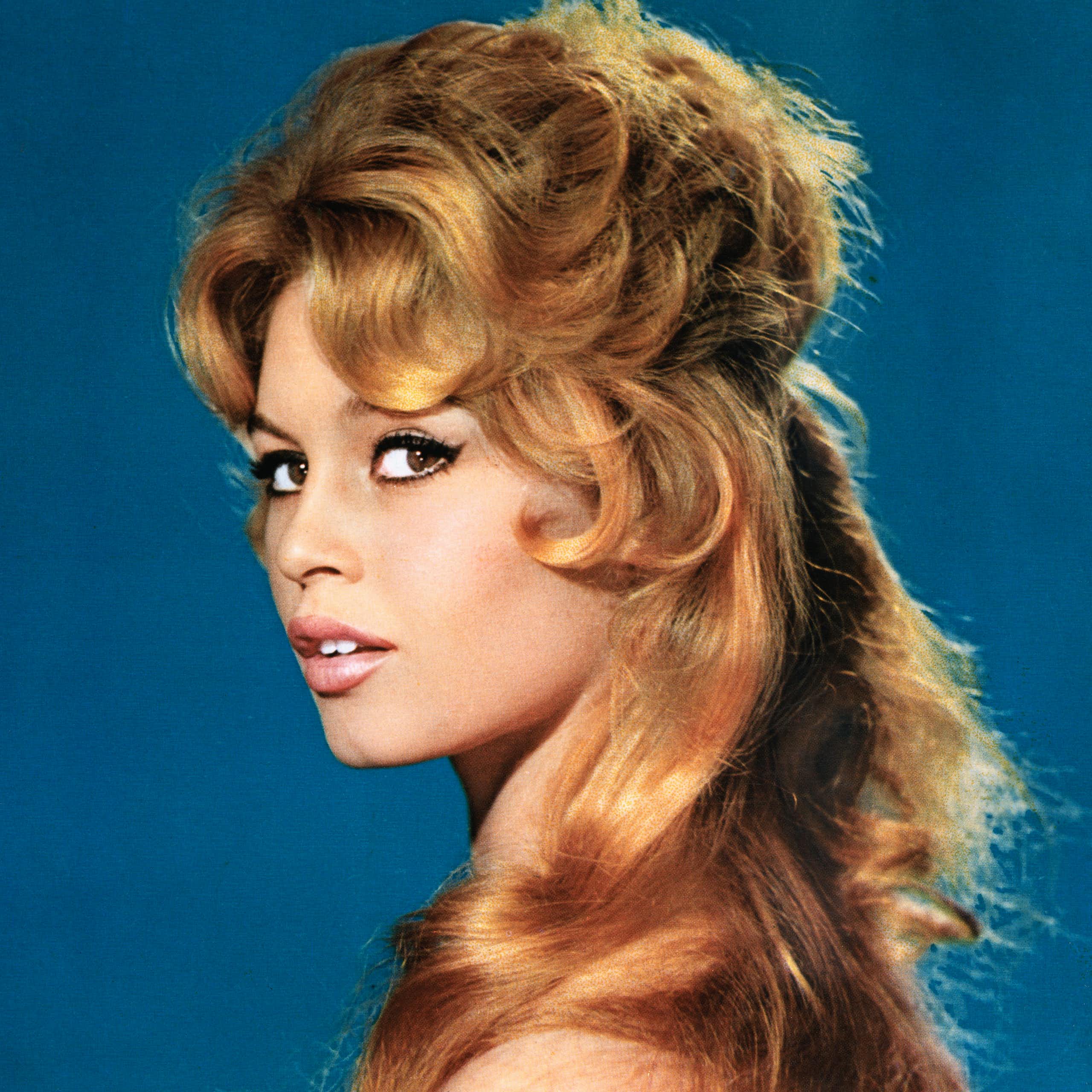 Bardot poses for an image in the 60s.