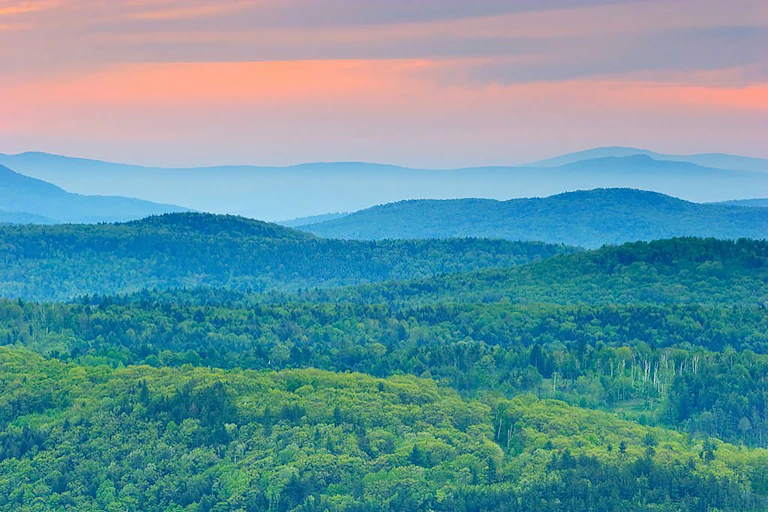 Forêts dans le Vermont