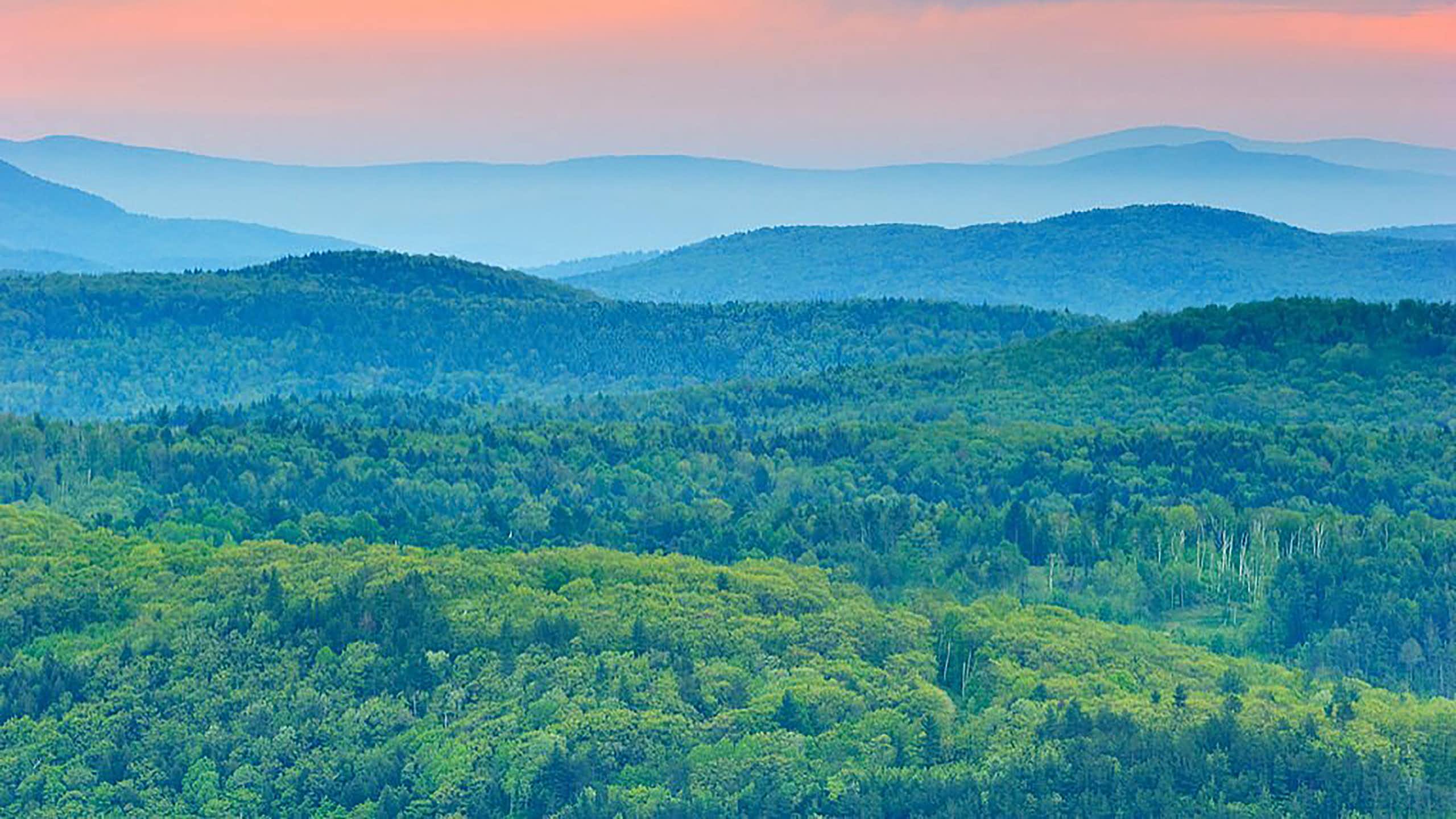 Forêts dans le Vermont