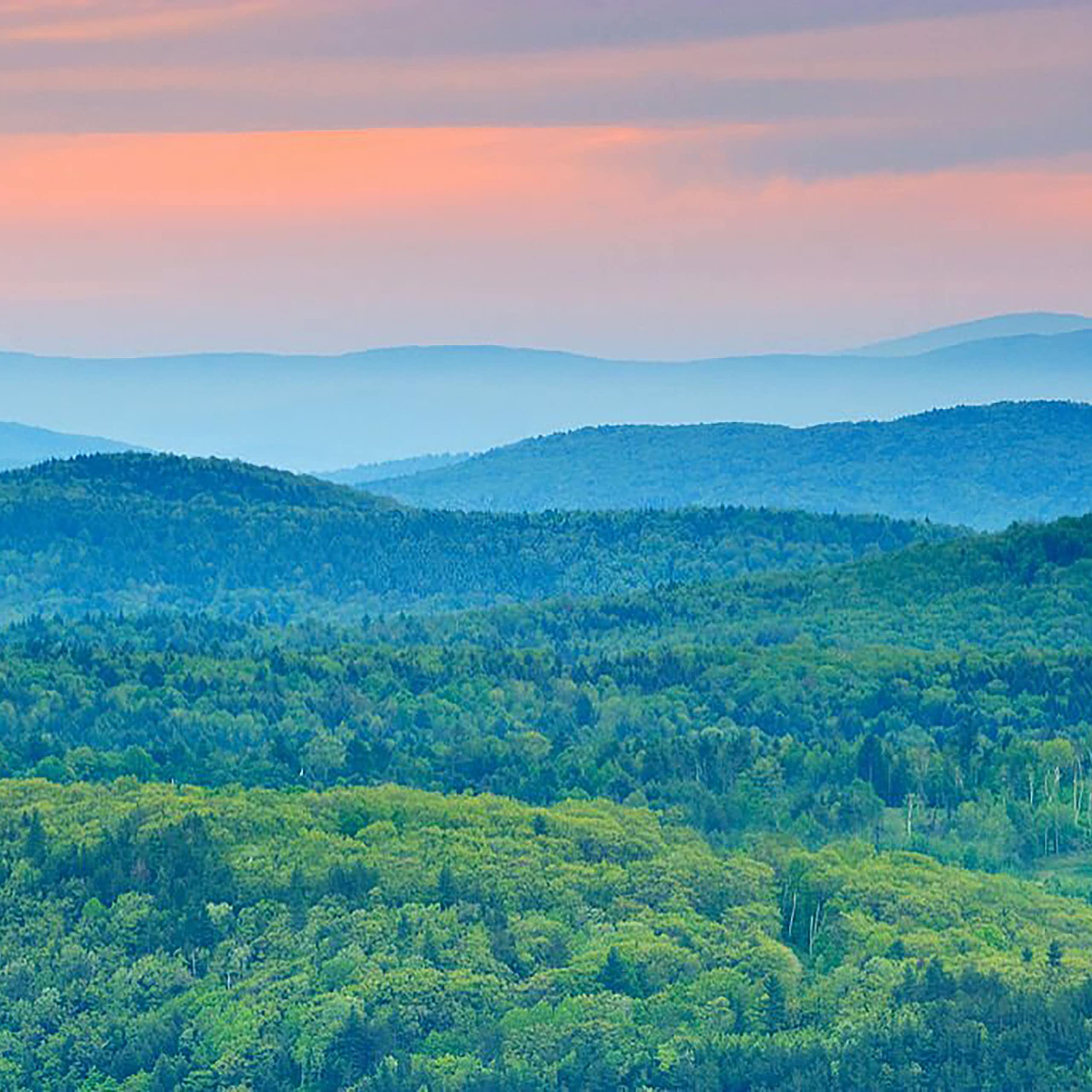 Forêts dans le Vermont