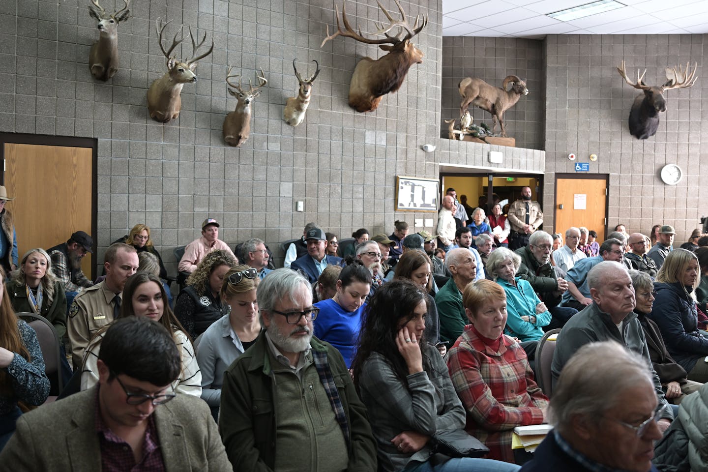 People sit in a room with stuffed deer heads in the background.