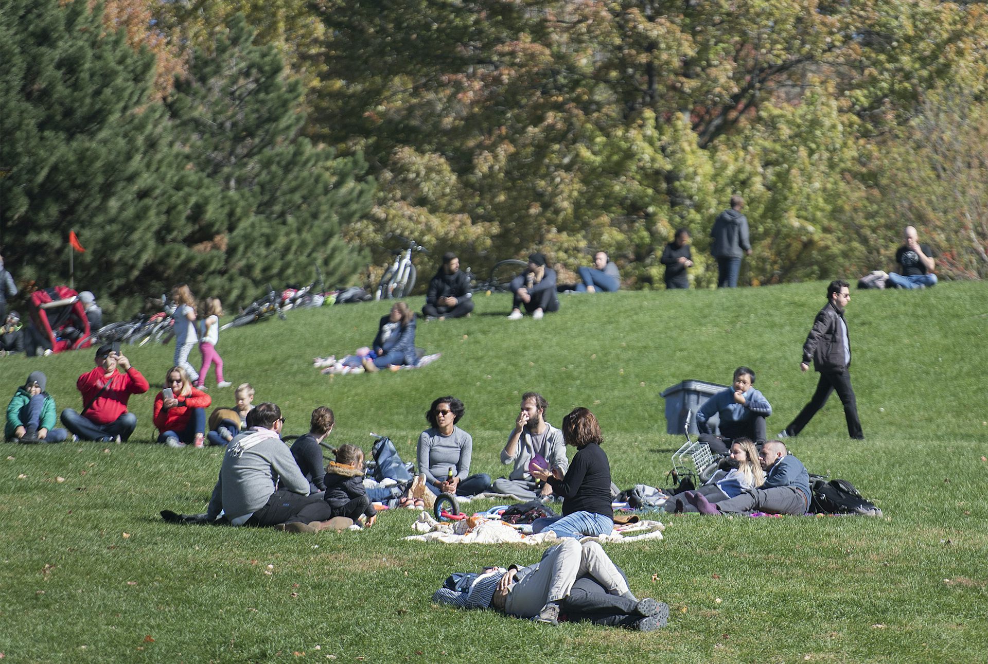 Groups of people sitting in a park.