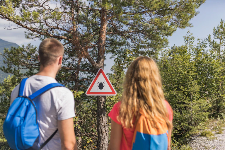 Couple with backpacks on a hiking route, standing in front of the tree and looking at a warning sign, caution ticks in the forest.